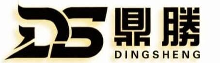 ds business equipment logo